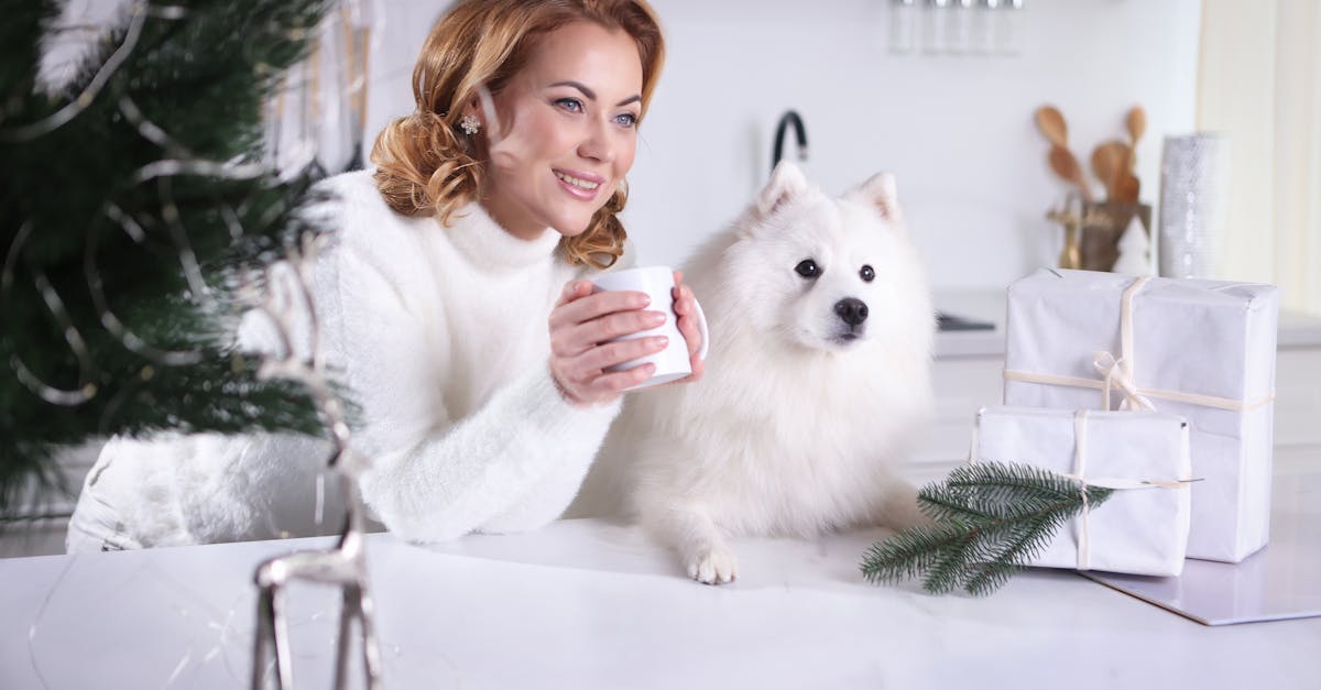 豊かなセミリタイア生活
