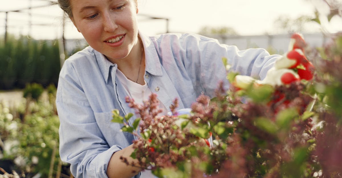 セミリタイア後の暮らし